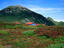 Image_2917-7