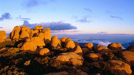 Image_2919-15