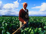 Brussel sprout farmer -Yarra Valley, Victoria