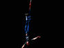 Man bungee jumping into Kawarau Gorge near Queenstown.