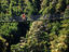 Image_2930-18