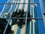 Many of the historic Colonial houses in Caracas have been replaced by futuristic plain glass sky scrapers