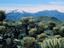 Two very popular peaks for hiking, Pico Bolivar ( Venezuela's highest peak at 5007 metres ) and Pico Humboldt ( the countries second highest peak at 4942 metres ) surrounded by the extraordinary flora of the region