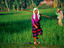 Paddy fields, Lombok