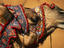 Image_2959-3