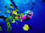 Image_2983-1