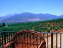 Looking out over vineyards at Domecq Winery in the Valle de Guadalupe, one of Mexico's major wine growing regions.