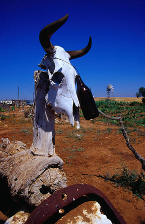 Roadside sculpture along the Transpeninsular, La Frontera.