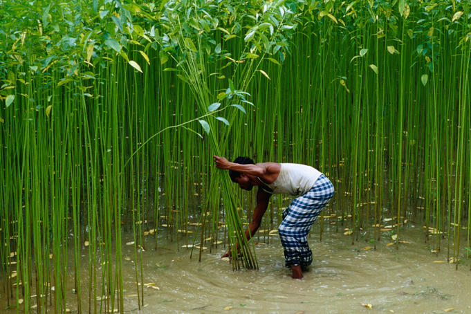 Bangladesh: travel books to read before you go