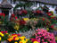 Image_3003-10