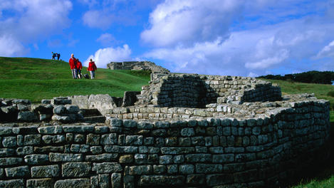 Image_3003-16