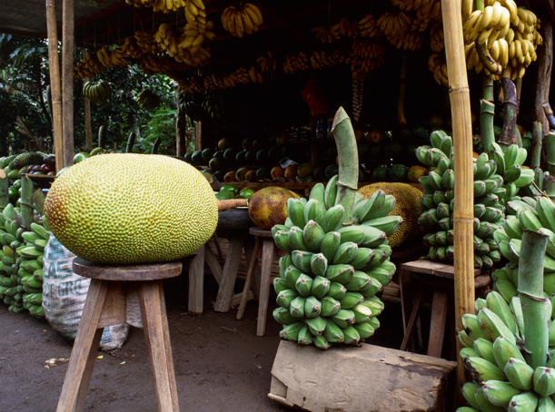 A tropical fruit stall in Camarines Sur province. Jackfruit (langka) is the large fruit on the left- the Philippines