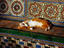 Image_3102-13