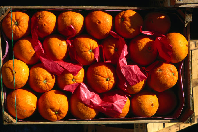 Oranges, a popular crop for Sicily's farmers.