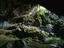 Clearwater Cave, Gunung Mulu National Park