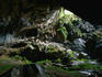 Entrance to Clearwater Cave, estimated to be the world's longest cave with 107km so far explored, Gunung Mulu National Park