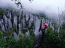Photographer perching on limestone karst overlooking Pinnacles, limestone forest.