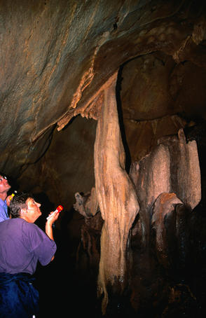 Caves that are home to bats and swifts and were also hideouts for the Japanese during the Allied invasion of Borneo in WW2, Kinabatangan River