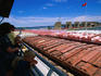 Barges in lock on the Mississippi River