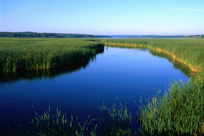 The Ogechie Lake, Mille Lacs Lake