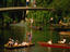 Image_315-202