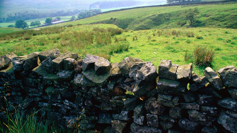Image_315-304