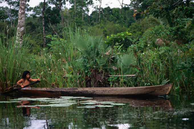 A young girl paddling a long wooden canoe amongst the reeds on the Rio Dulce