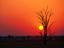 Image_3222-27