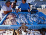 Selling fish at the Vieux Port