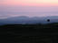 Dawn mist over the plains