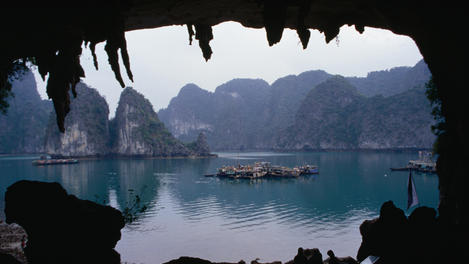 Image_3244-11