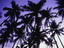 Image_3259-7