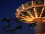 Image_3260-1