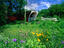 Cedar Bridge, Iowa