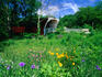 The covered bridges of Madison County: Cedar Bridge