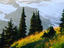The Skyline Trail in Mt Rainier National Park, Washington