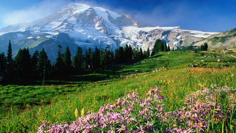 Image_3268-75