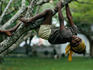 Just hangin' around in Penang