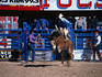La Fiesta de Los Vaqueros at the Tucson Rodeo