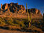 Cacti and Superstition Mountains at Lost Dutchman State Park.