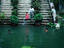 Children swimming, Wari, Bangladesh