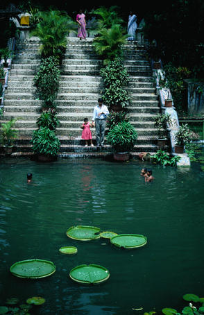 Children swimming in pond in Baldha Gardens, Wari.