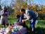 Chianti area, Tuscany