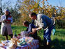 Olive pickers take a break in the fields of the Chianti area of Tuscany