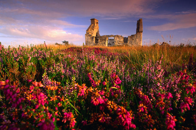 Top Ireland experiences from Lonely Planet staff