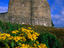 Glengesh Valley, County Donegal