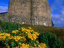 The ruins of Greencastle Fort, County Donegal