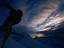 Image_3302-48