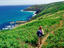 Image_3328-9
