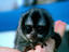 Image_3340-27